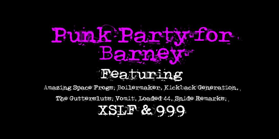 Punk Party for Barney